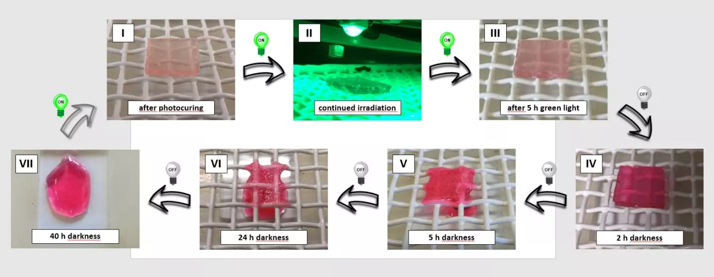 The team calls its new structure light-stabilized dynamic material, and hopes that it can give rise to a new class of materials that respond to light in novel and useful ways