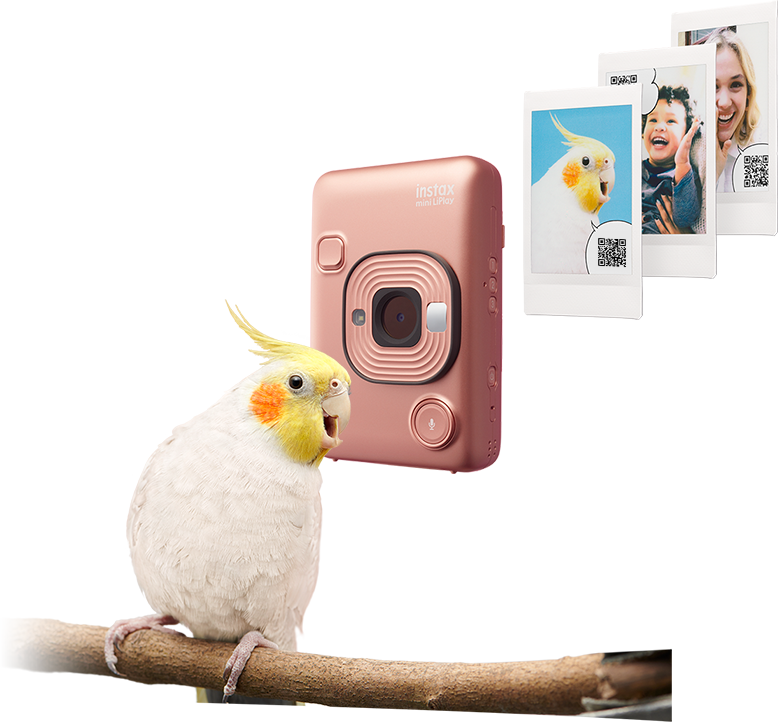 Audio clips recorded using the instax mini LiPlay camera are converted to QR codes that appear on the print, and are played back via a smartphone