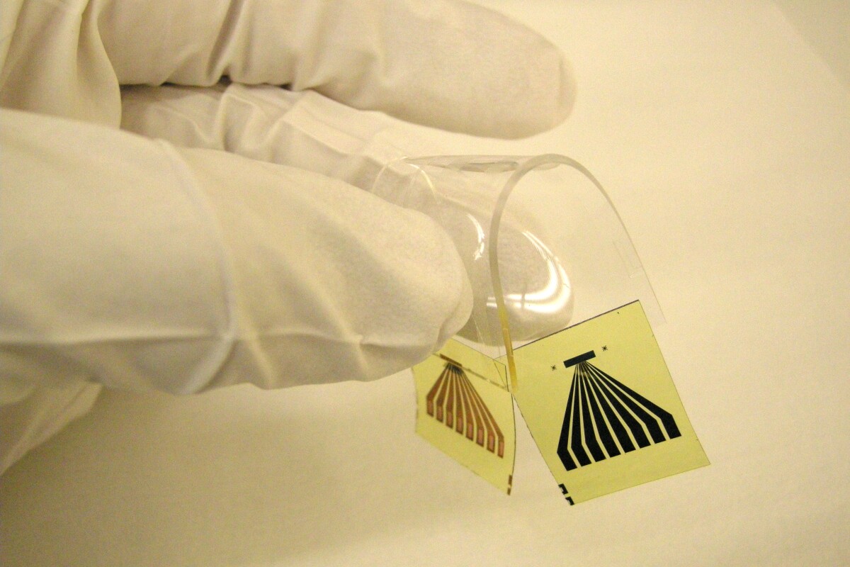 One of the flexible, stretchable optical interconnections