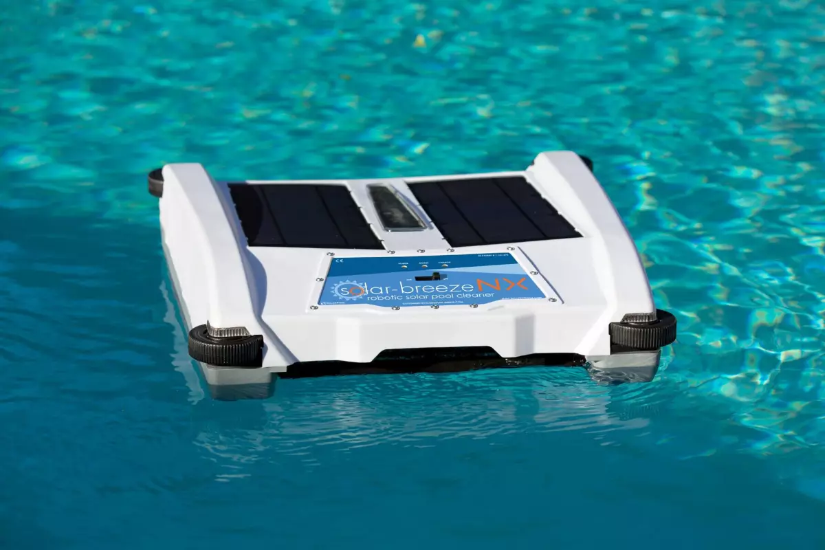 The pool skimmer in its native habitat