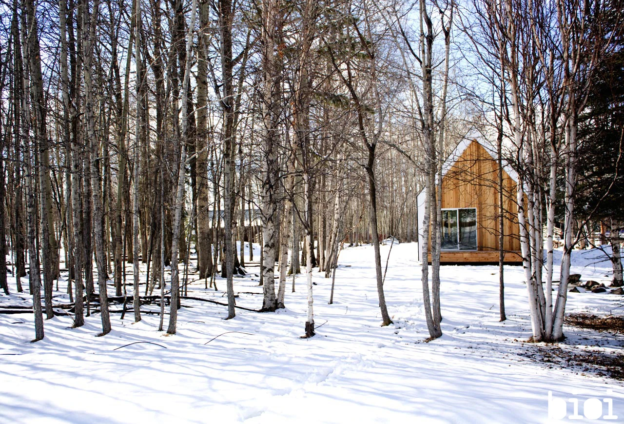 Warburg house by Canadian architects Bioi (Photo by: Alison Anderson)