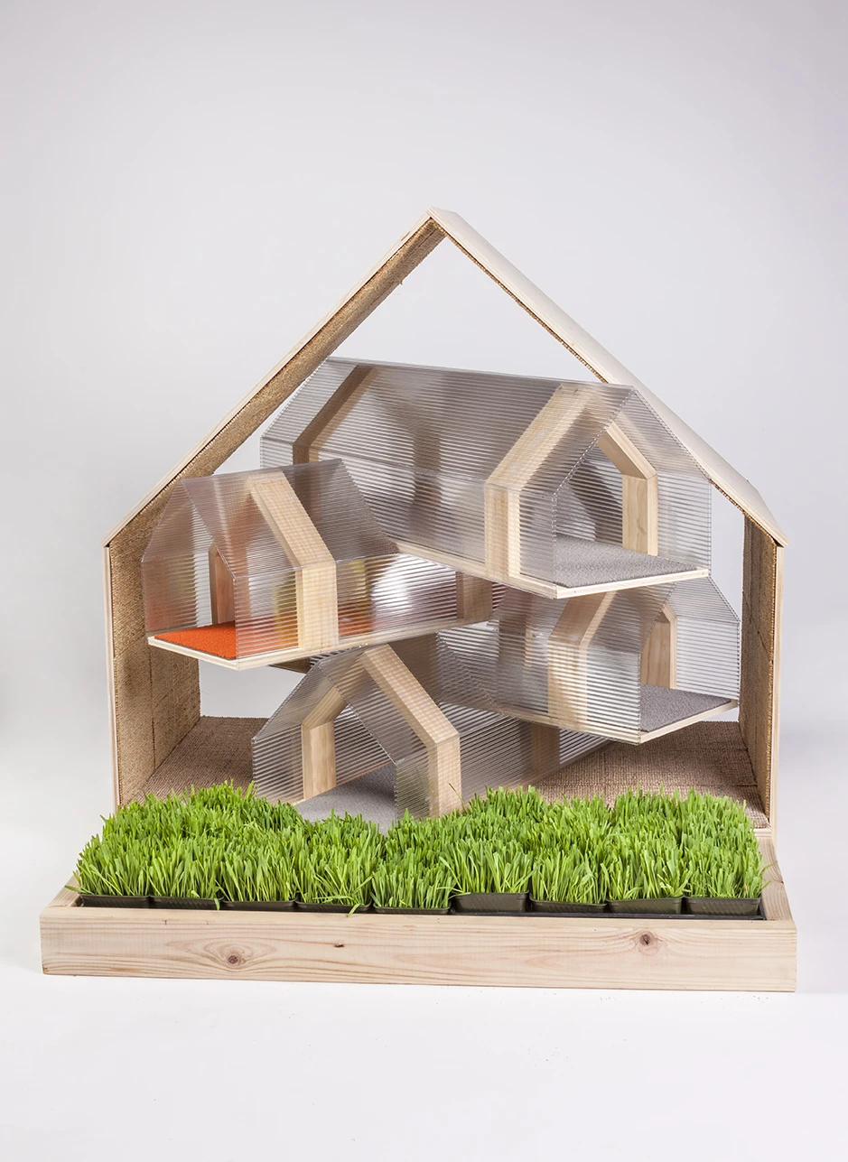 HOK's utilitarian communal shelter comes complete with faux grass (Photo: Grey Crawford)