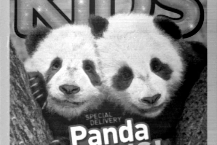 The magazine cover is so small that 2,000 can fit on a grain of salt