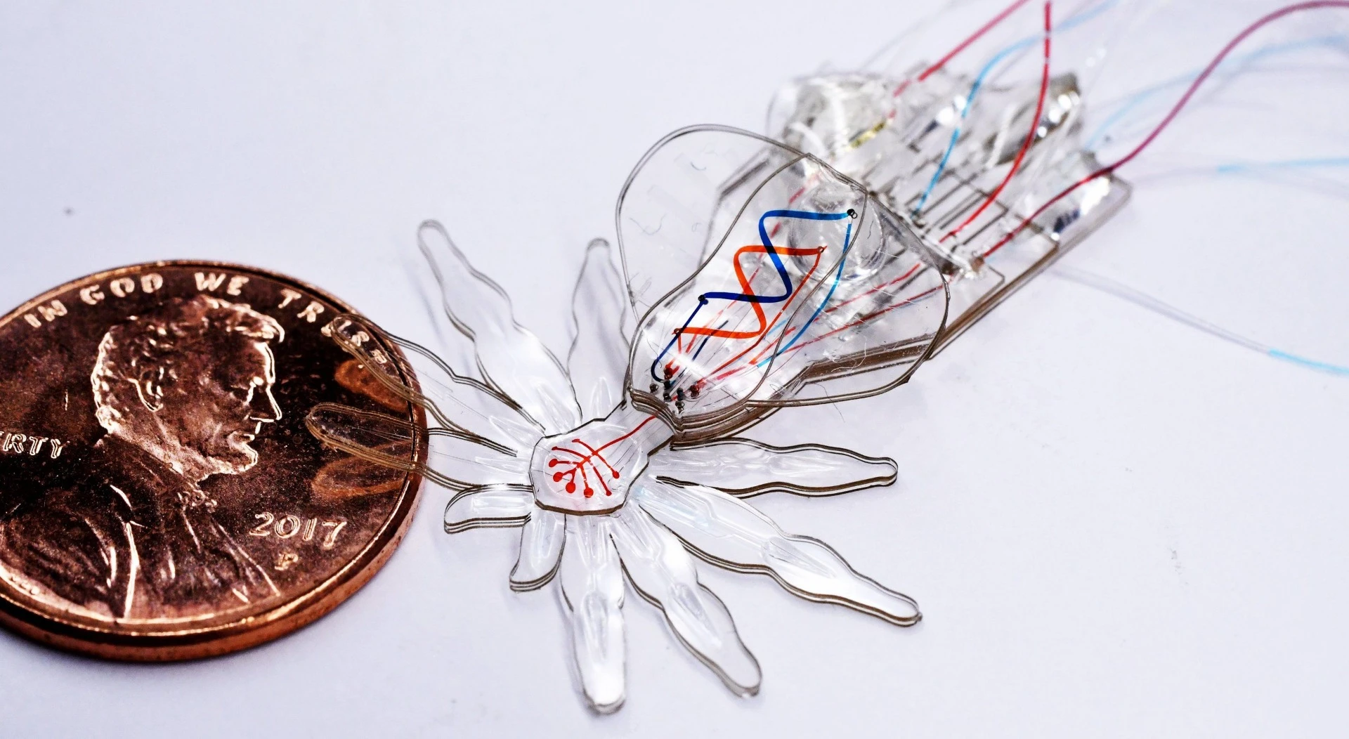 A Harvard team has developed a new method to make tiny, soft robot spiders, powered by microfluidic systems