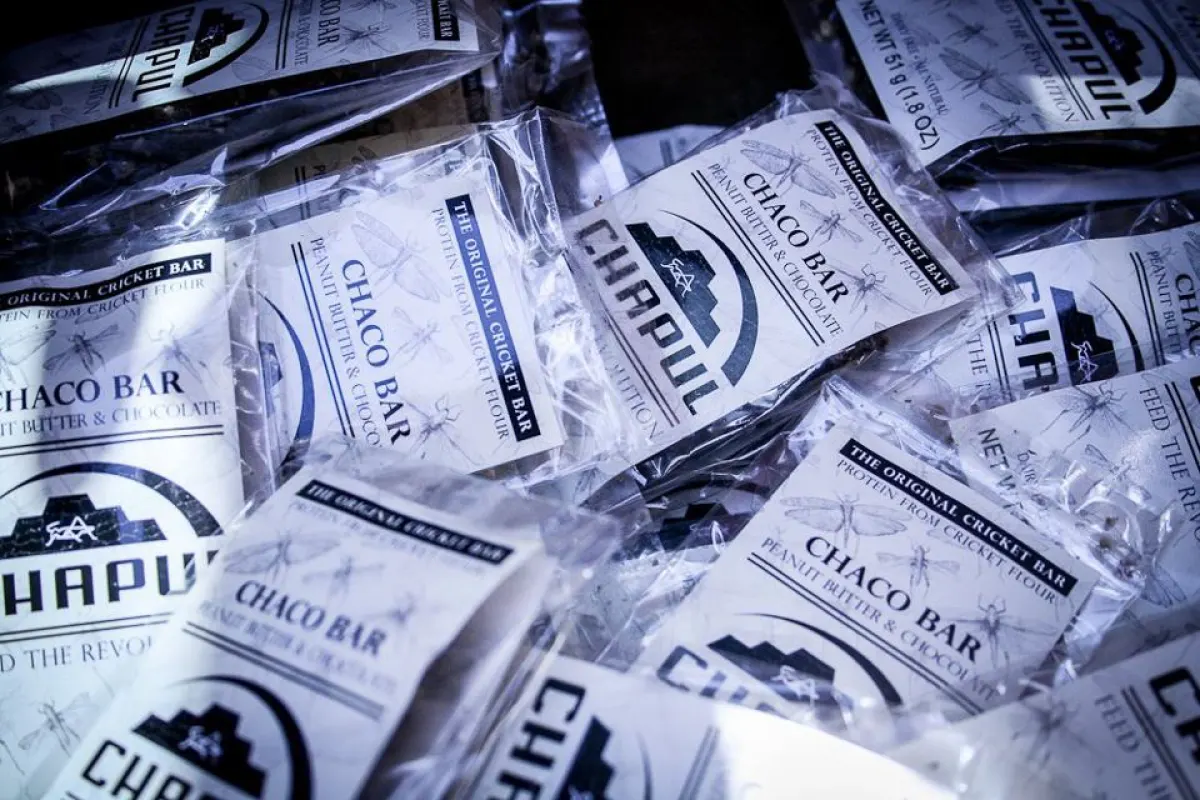 The creators of the Chapul Bar consider eating insects a way of conserving resources
