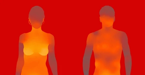 The Fleshmap by Viegas and Wattenberg broke the human body down into parts and had the public visit a website to rate the desirability of each part. They then created a heat map showing the "hot spots" of preference according to the data gathered