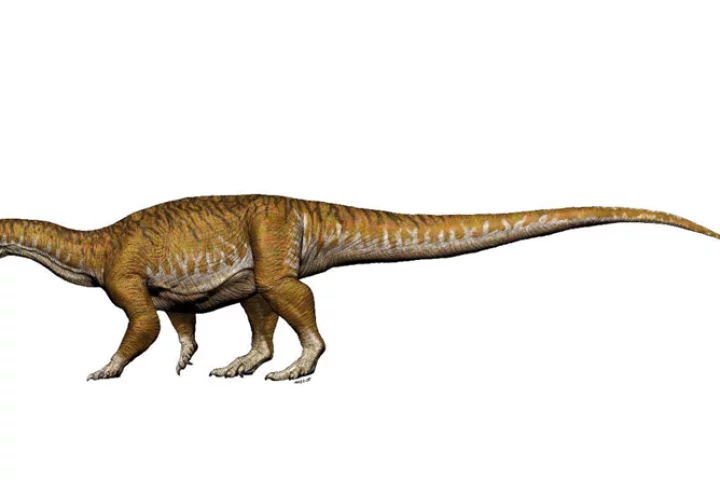 At about 10 tons, Ingentia prima was the first giant dinosaur