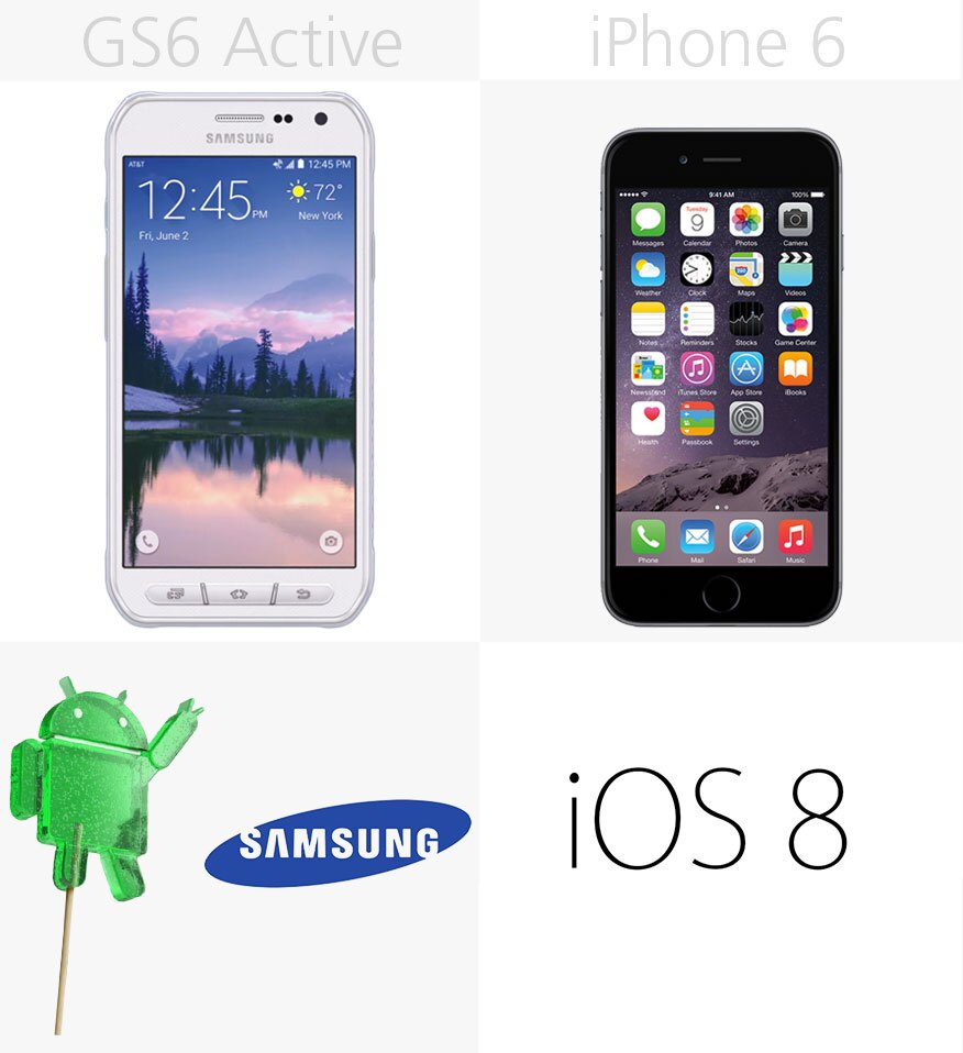 Software