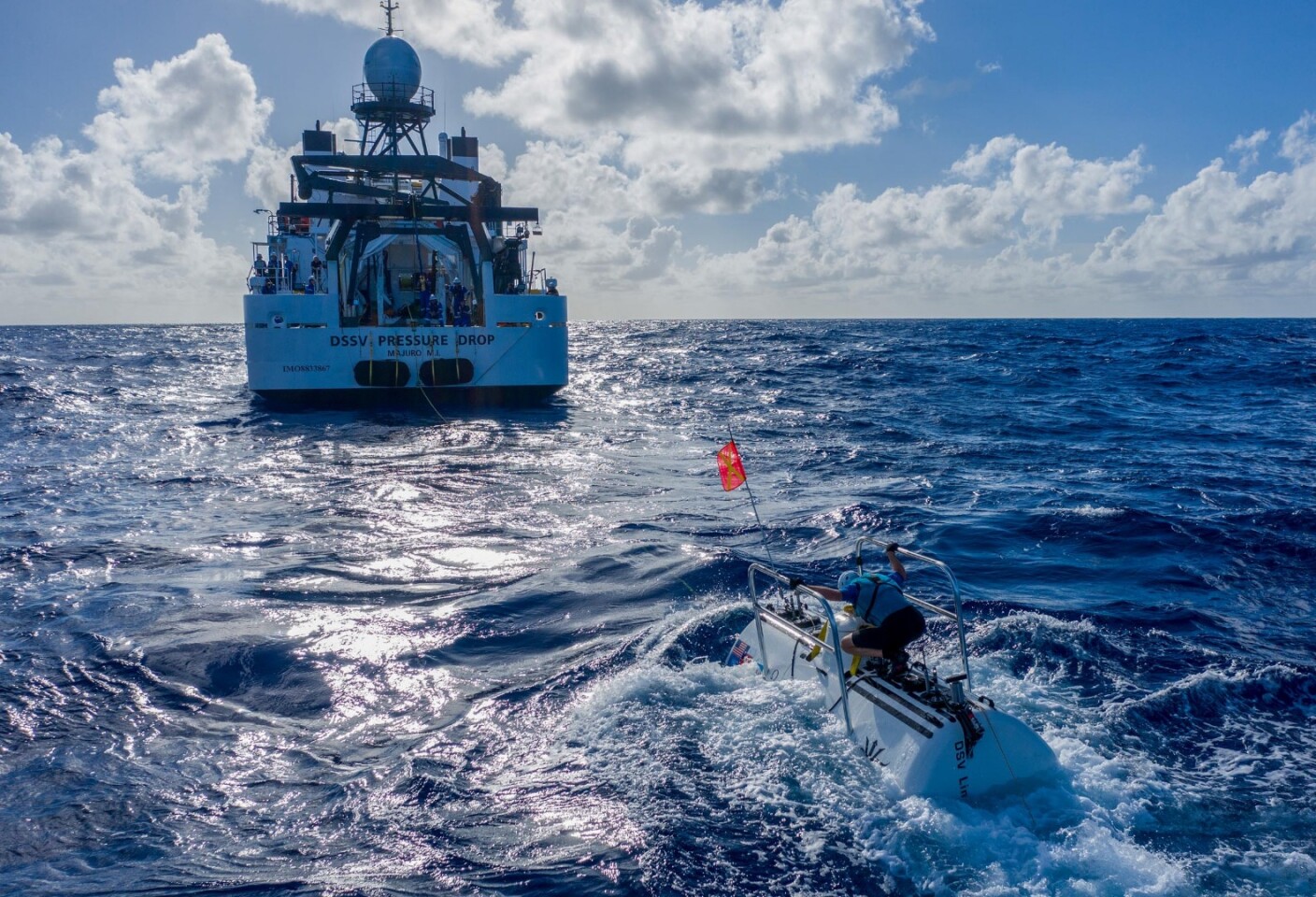 Bionic jellyfish? Yes, and they are here to help Reuters