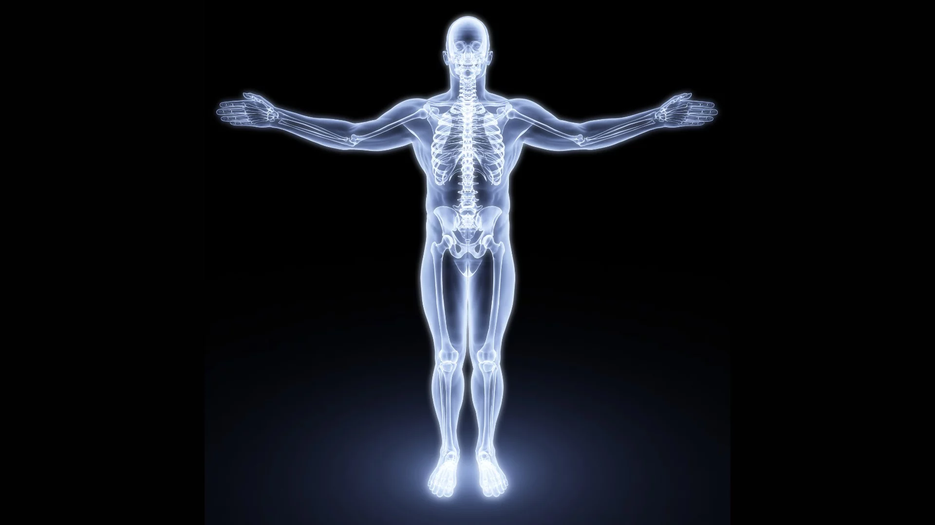 A recent discovery by researchers from the Columbia University Medical Centre revealed a previously unknown appetite-regulating mechanism that is secreted by bone cells