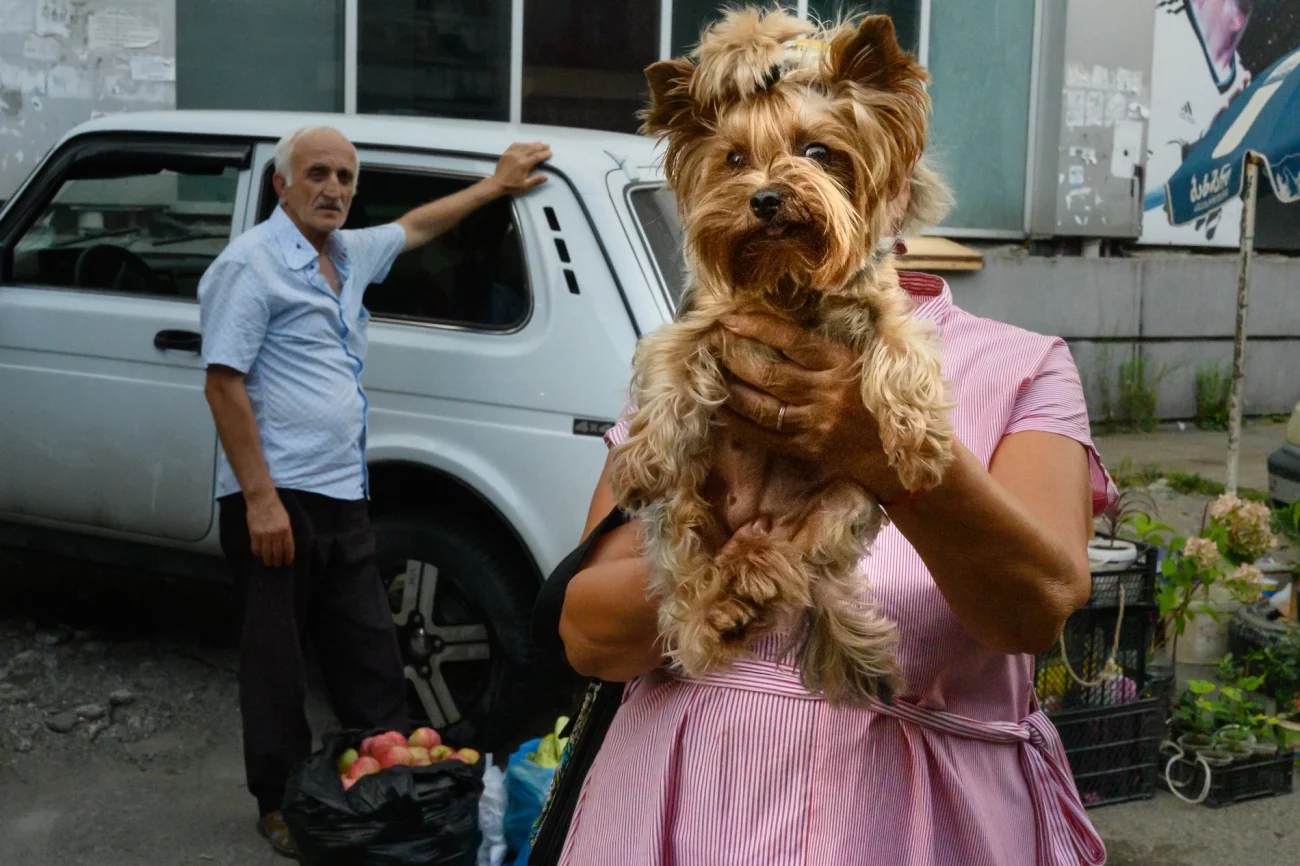 Remarkable Artwork - Street Photography. My Lovely Dog. Georgia.