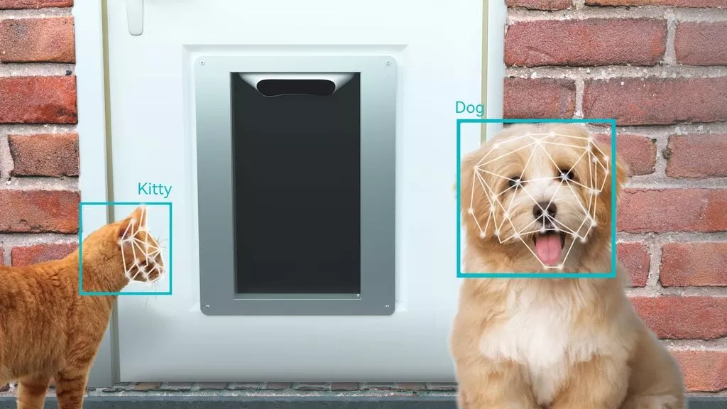 Users set up and control the Petvation system via a mobile app, which will allow them to register authorized furry friends, set curfew times and keep track of traffic through the entry point