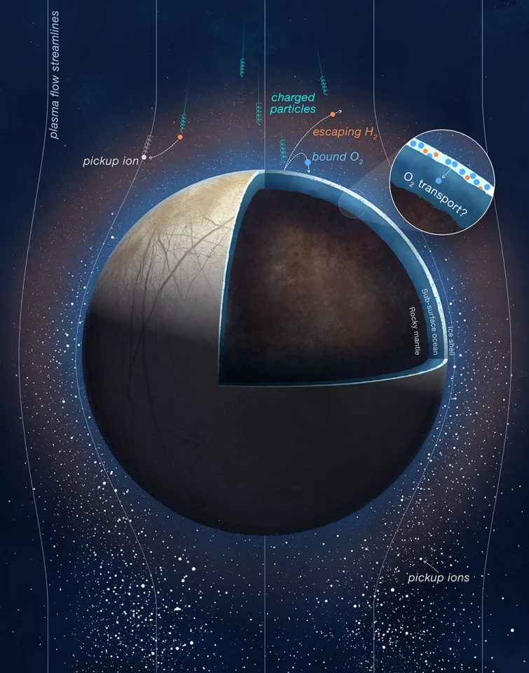 Interior structure and how Europa interacts with Jupiter's magnetic field