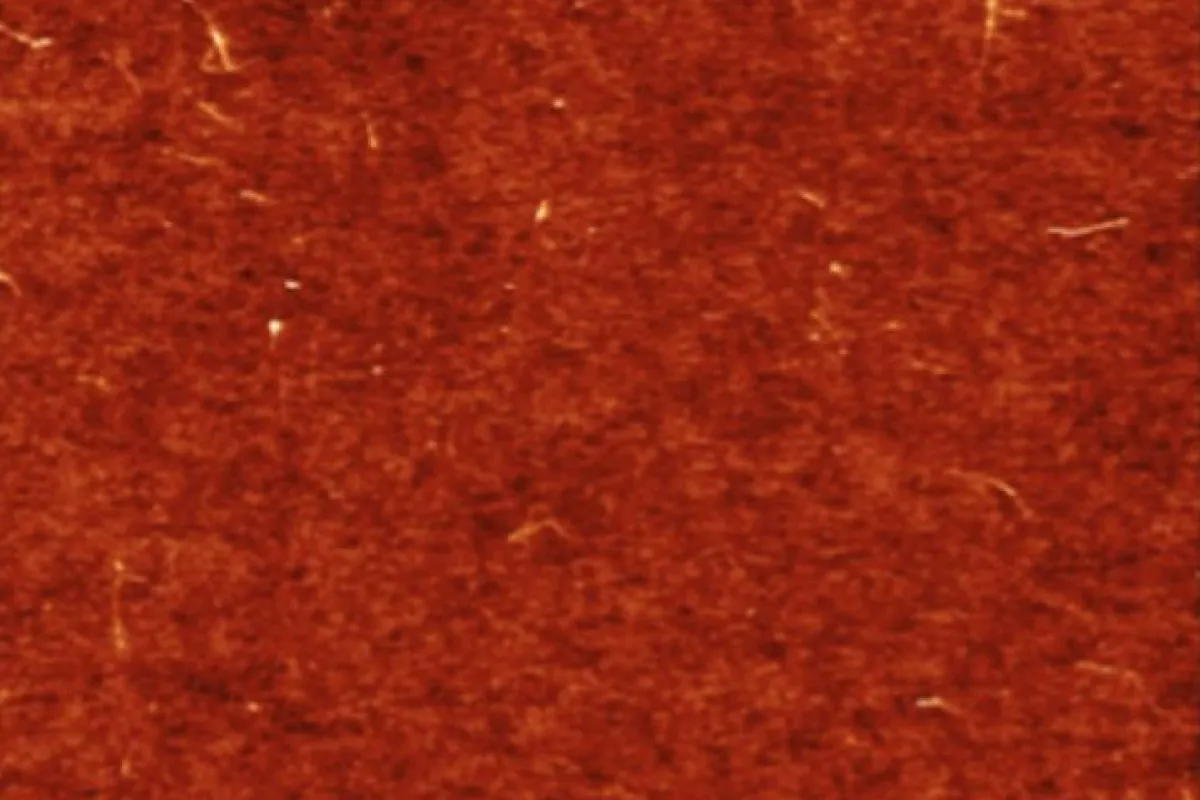 An atomic-force microscope image of a layer of single-walled carbon nanotubes deposited on a silicon surface, which is the first step in manufacturing the new solar cell
