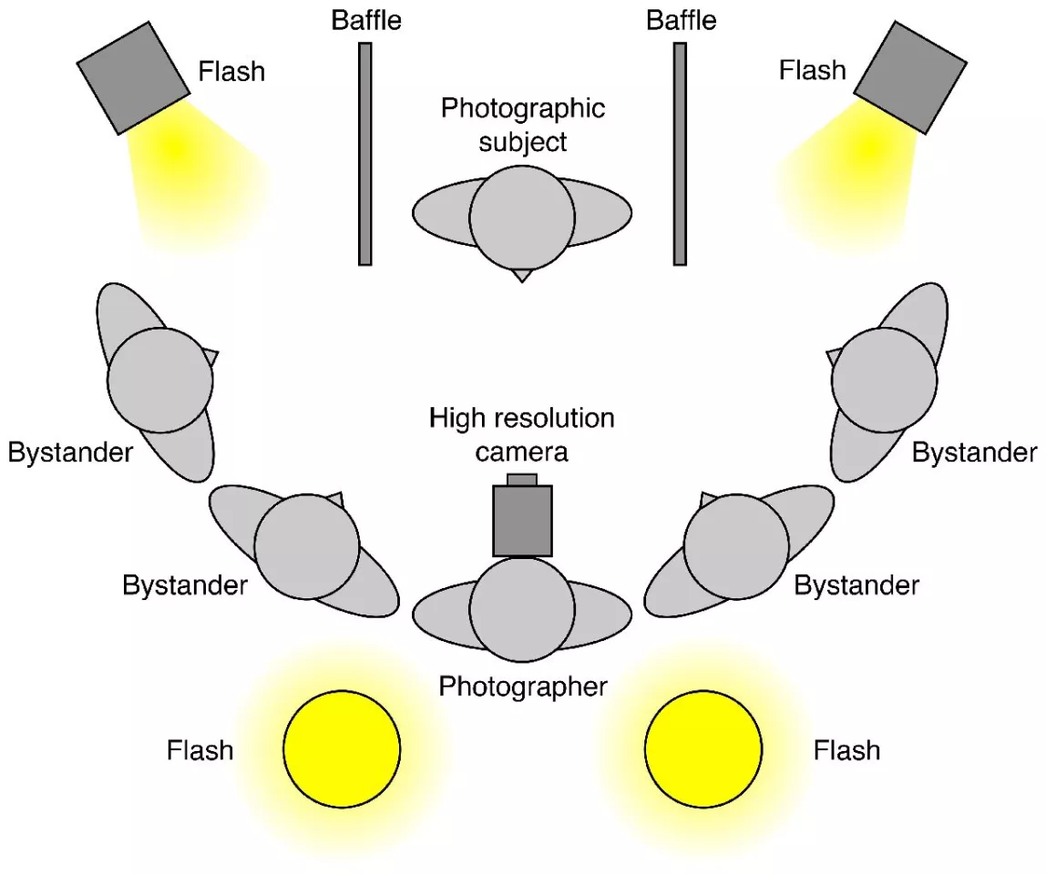 The (not-to-scale) arrangement of camera, subject, and lighting used for the Jenkins/Kerr collaboration (Photo: University of York)