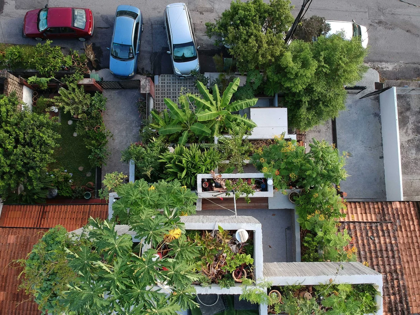 The Planter Box House's garden beds are used to raise more than 40 different types of edible plants
