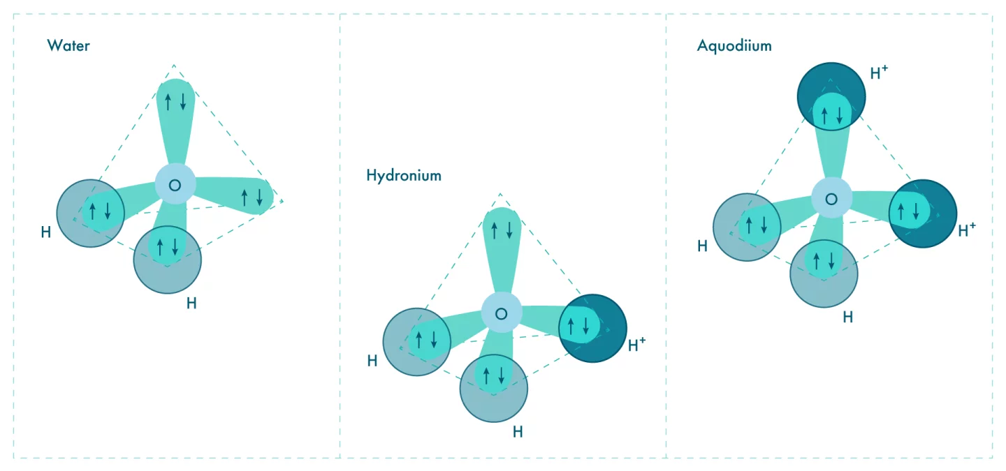 Diagrams of the structure of water, hydronium and aquodiium molecules