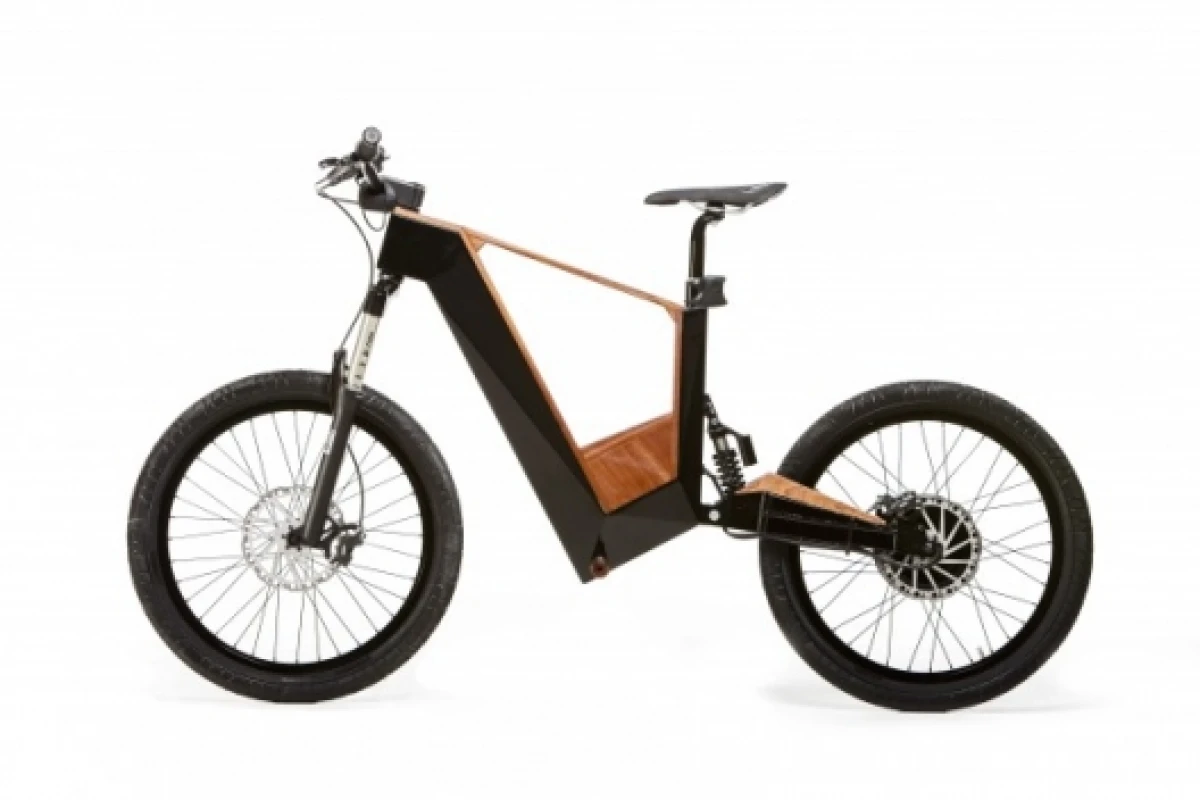 The Mosquito electric bike