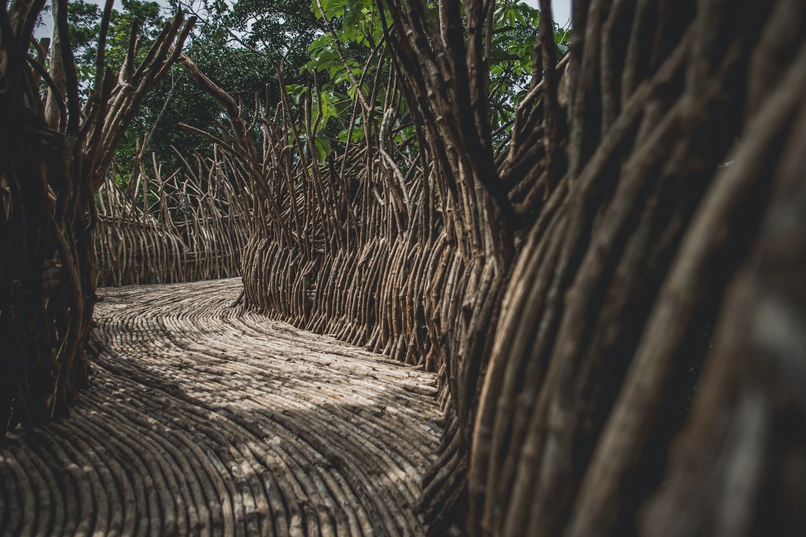 Azulik Uh May's Bejuco wooden floors are made from a native vine-like plant. It's installed while the wood is still soft, then it dries and hardens while in place