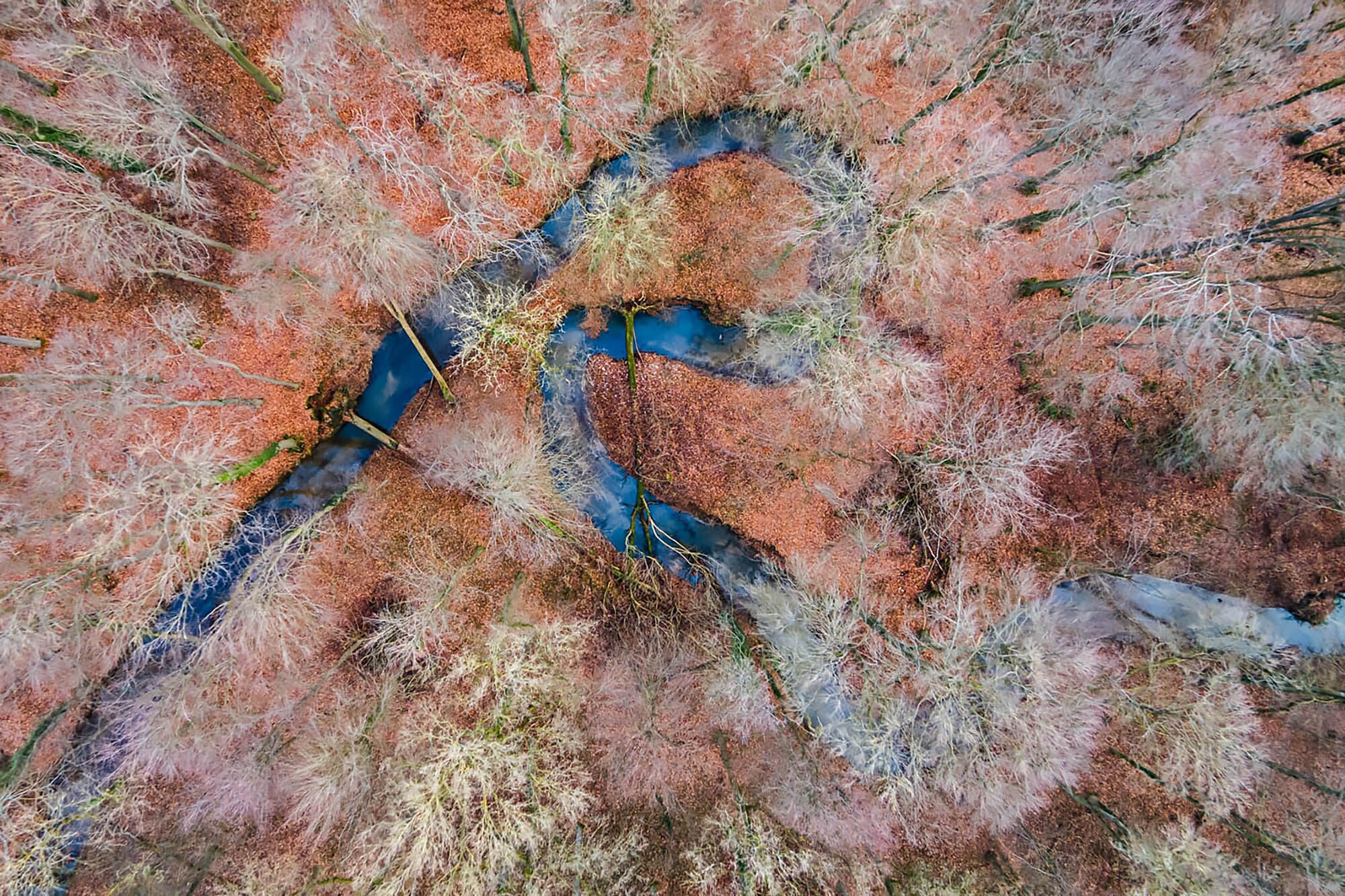 특별 부문 5위. "완벽한 흐름"