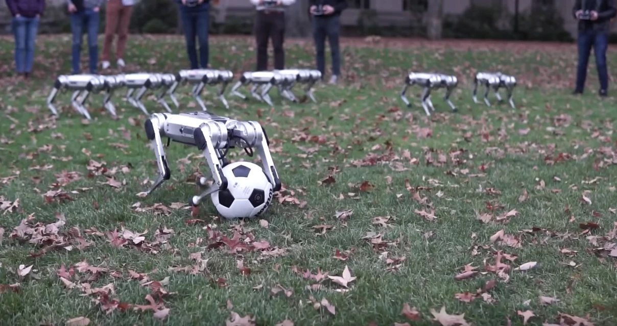 The Mini Cheetah robots ready to