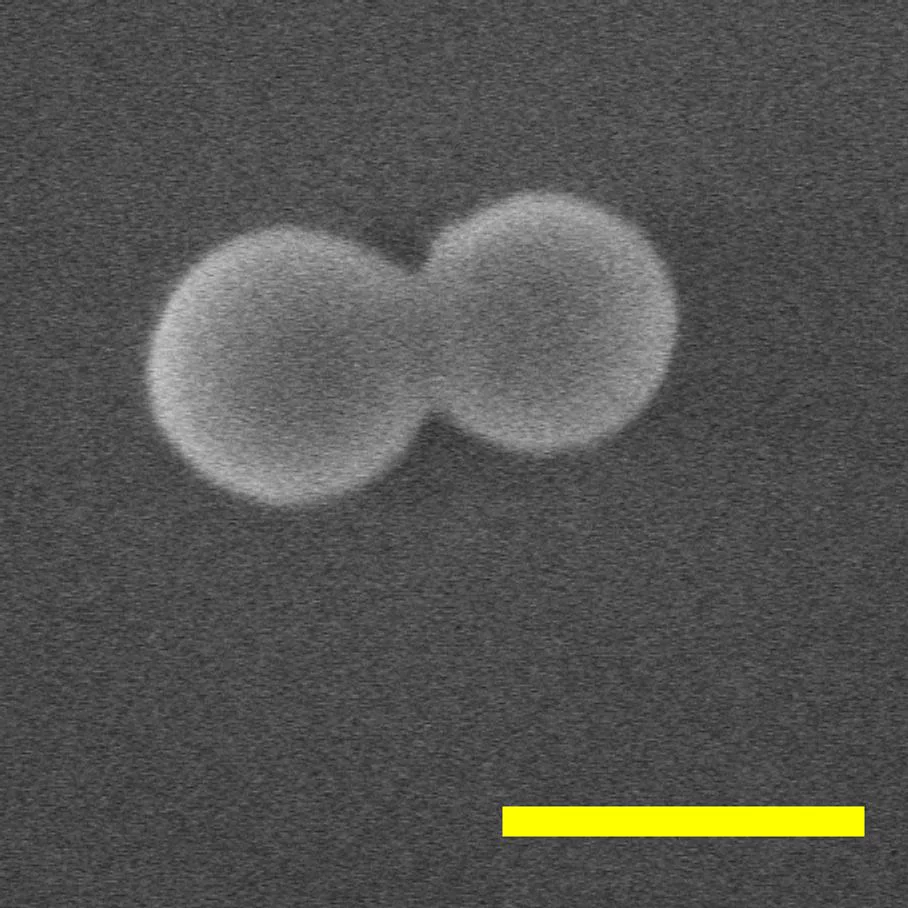 The fastest-spinning object ever made is a dumbell-shaped nanoparticle that spins at an astounding 300 billion rpm