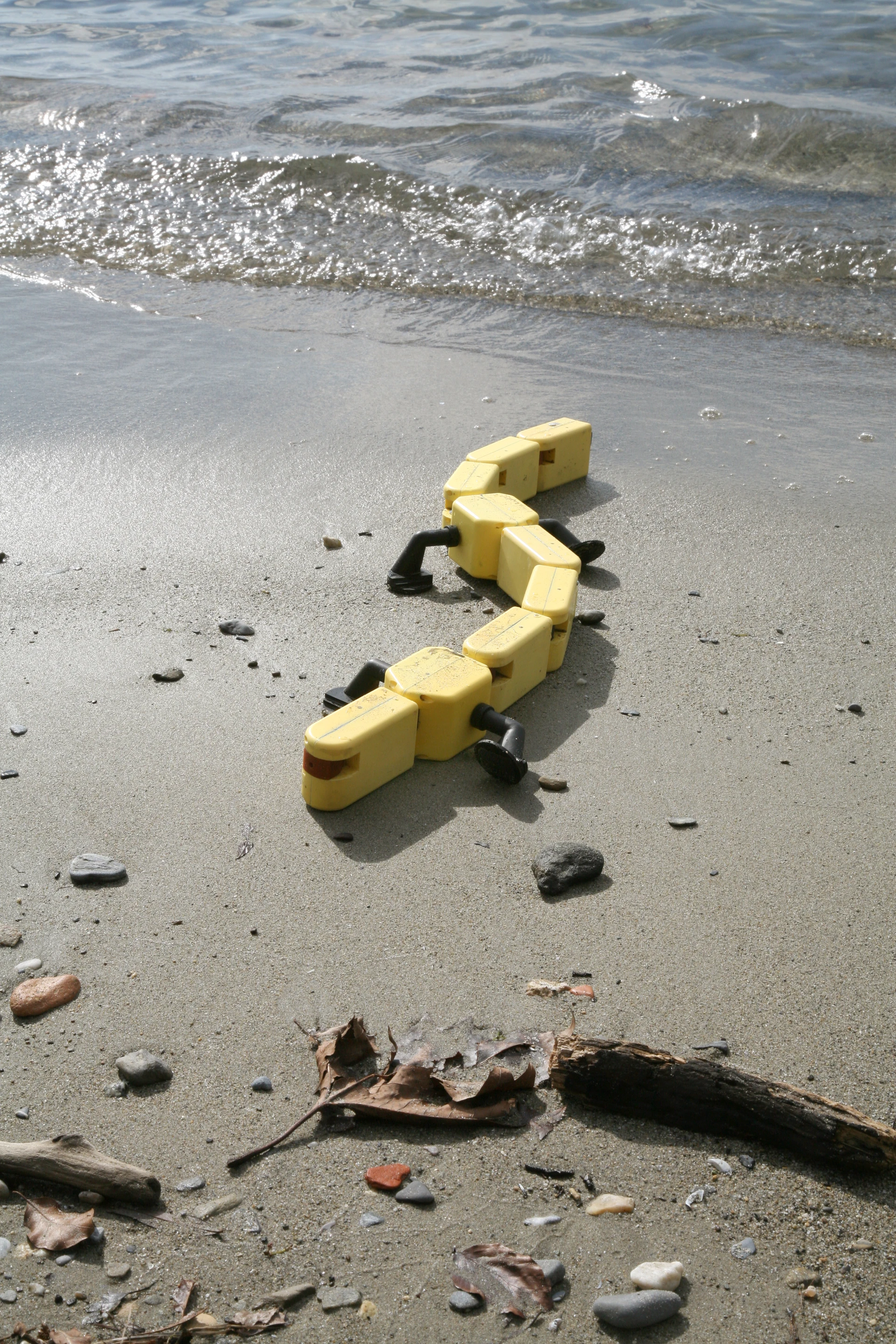 When researchers developed the Salamandra robotica II, they tried to replicate the movement of a salamander to build a robot that can walk or crawl on land as easily as it swims in the water (Photo Credit: A. Herzog, Biorobotics Laboratory, EPFL)