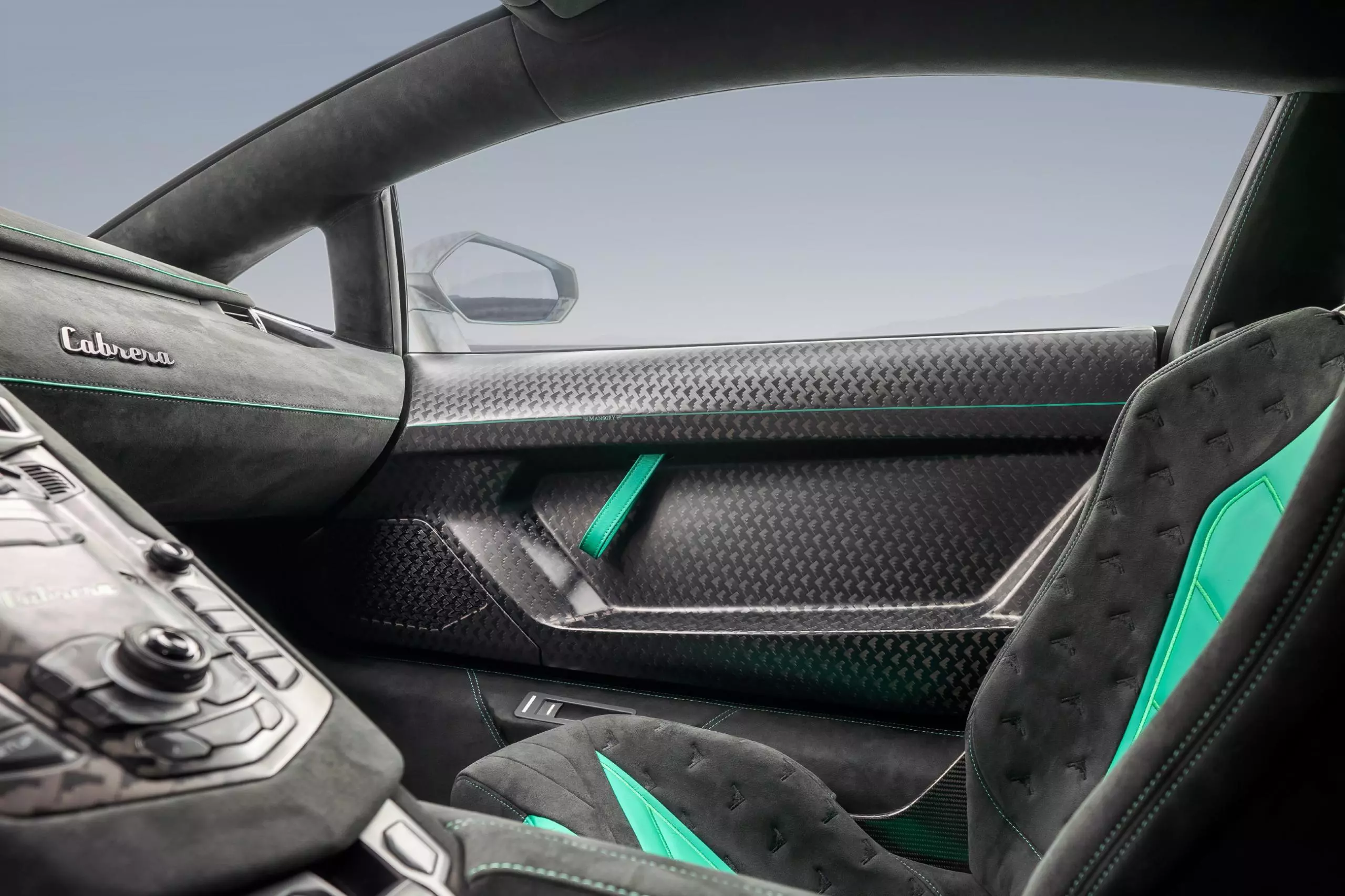 Carbon interior panels too