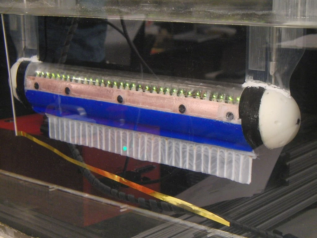Researchers have created an underwater robot that swims in any direction using just one fin, inspired by the black ghost knife fish (Photo: Northwestern University)