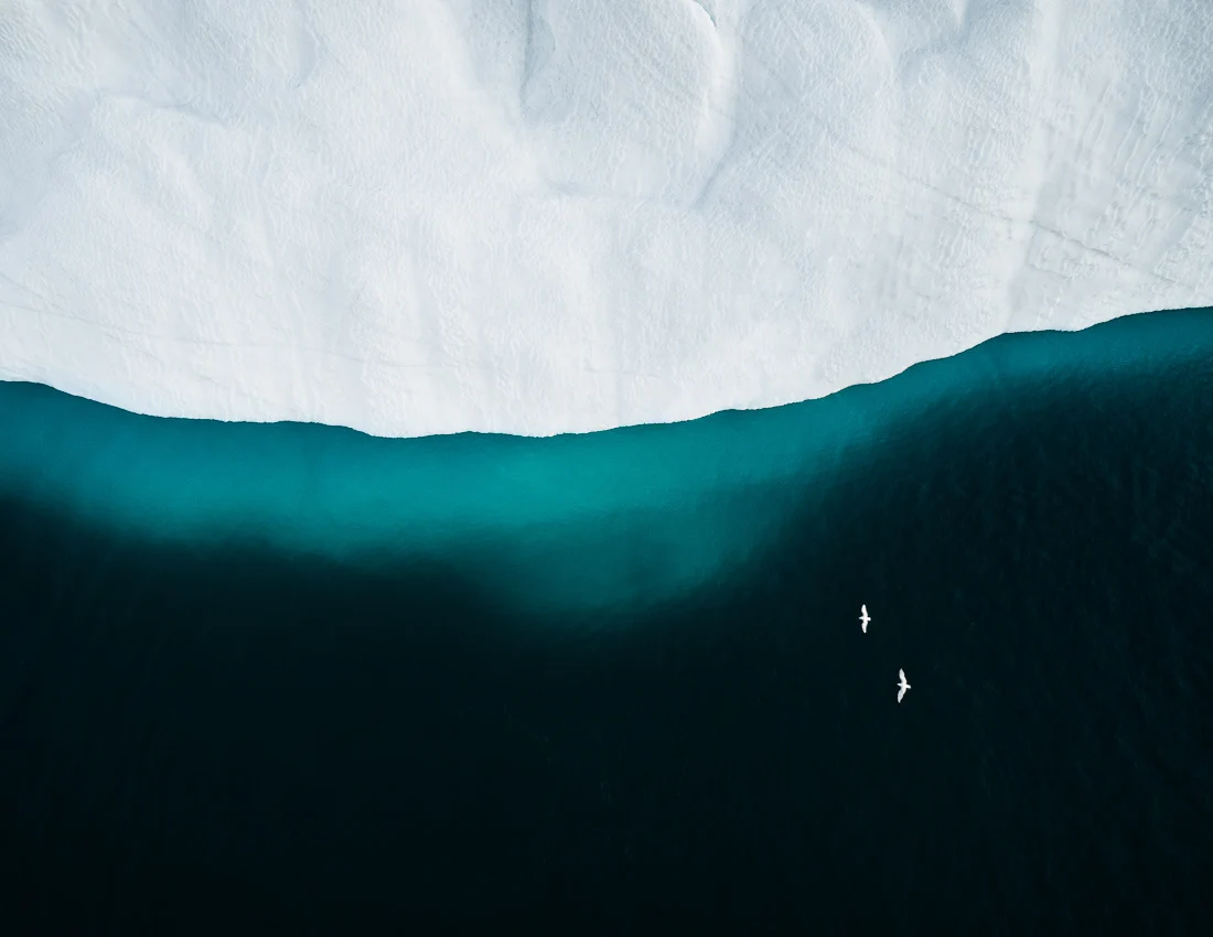 The Iceberg Series II, looks directly down on icebergs, marveling at their abstract patterns and shapes