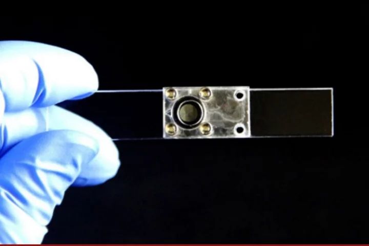 A MagSifter chip used to extract CTCs from blood samples