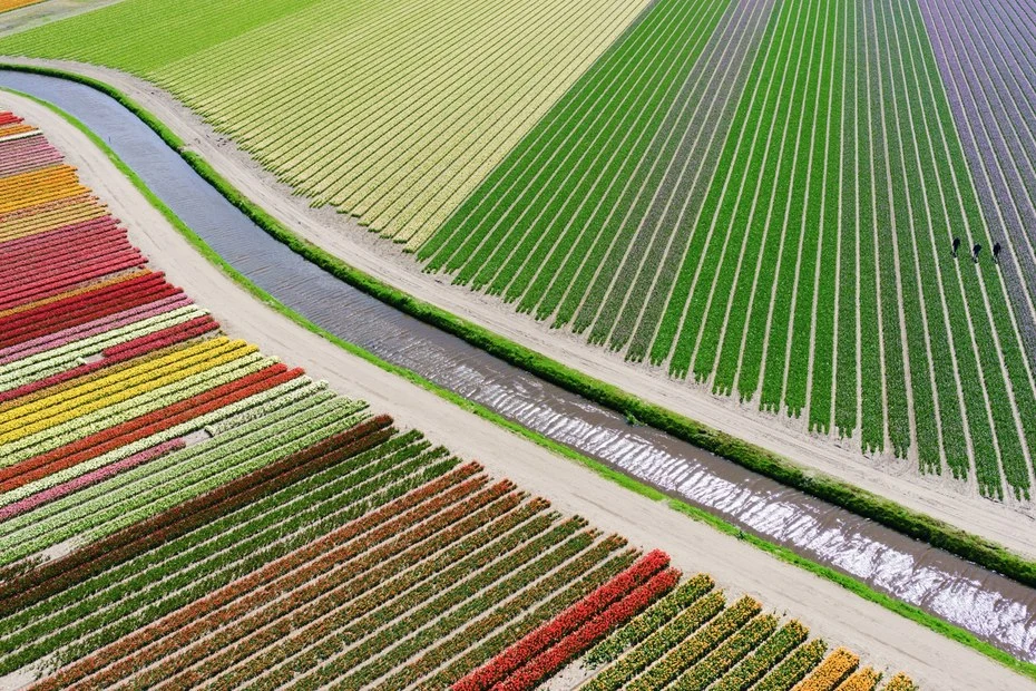 Earlier this year, the folks over at Dronestagram held their second annual drone photography contest and the finalists were nothing short of spectacular