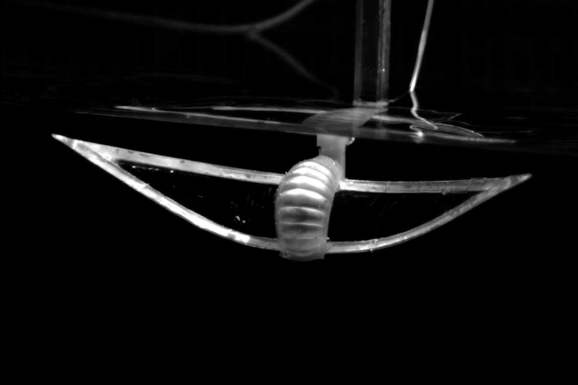 Streamlined Robotic Manta Ray Swims Faster with a Simplified, Efficient Design ?url=http%3A%2F%2Fnewatlas Brightspot.s3.amazonaws.com%2F38%2Fc7%2F74549f484849b3d770556f17a0a0%2Fscreenshot 2024 12 09 At 12.40.49%E2%80%AFPM