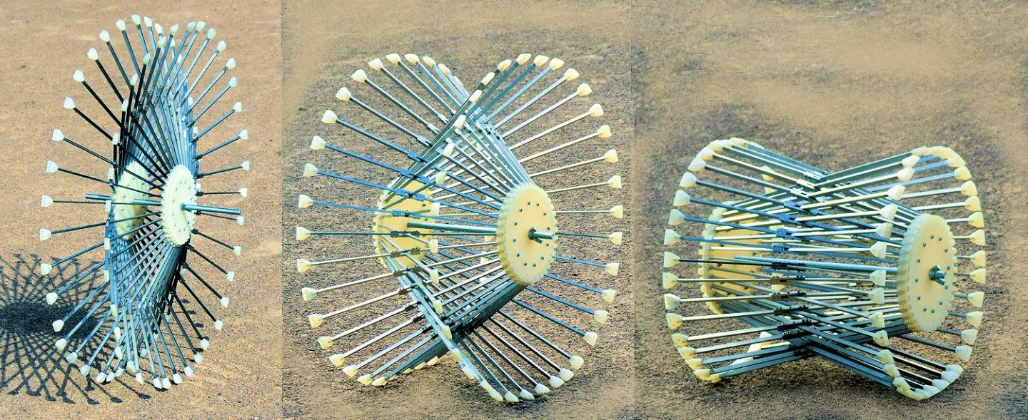 A Roadless wheel adjusted to a variety of aspect ratios (Photo: Ackeem Ngwenya)