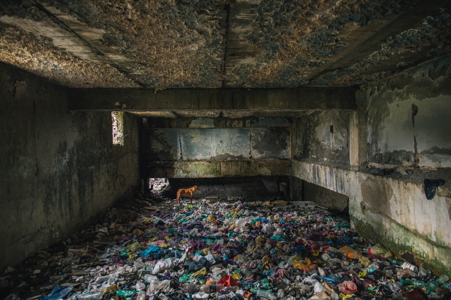 Canada's Ryan Koopmans took this photograph of a sanatorium in the former Soviet Republic of Georgia designed by architect Kalashniko. It was entered into the Buildings in Use category