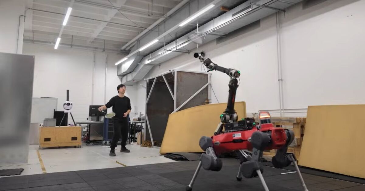 Robot dogs learn badminton with advanced AI control Robot dogs learn badminton with advanced AI control