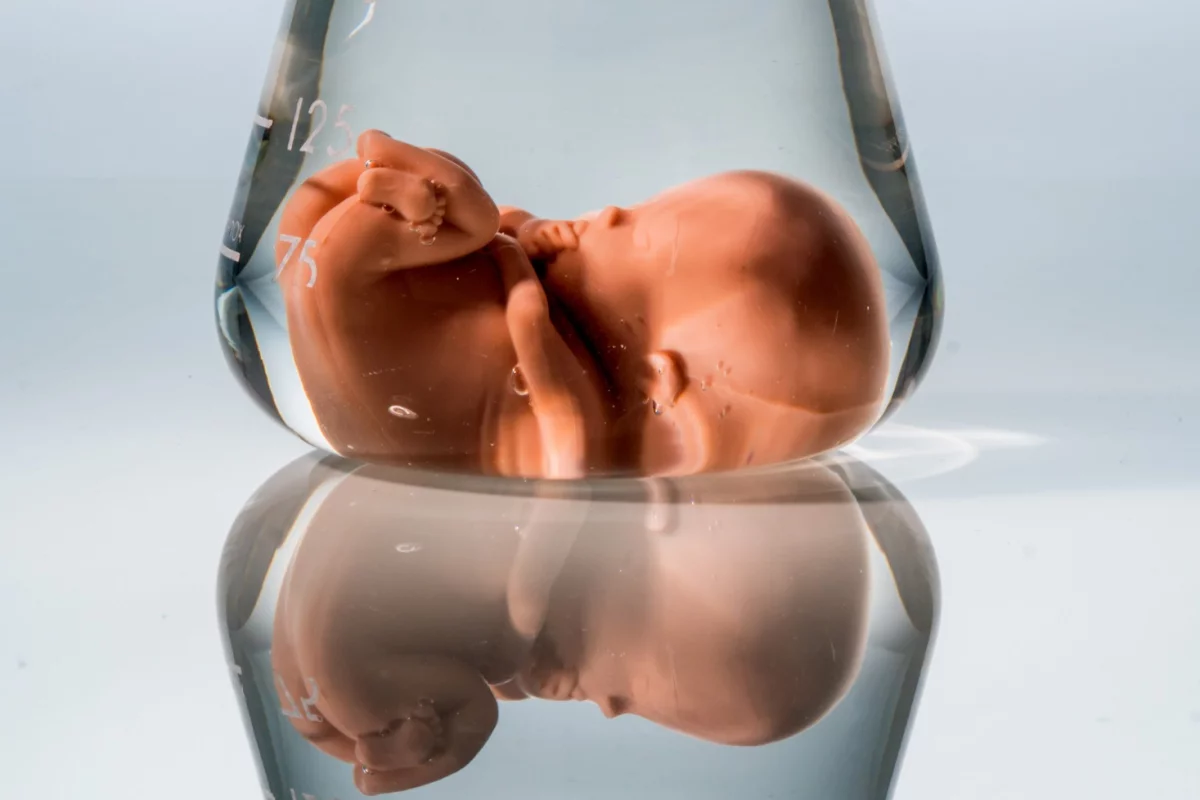 The world's first gene-edited human babies have reportedly been born in China