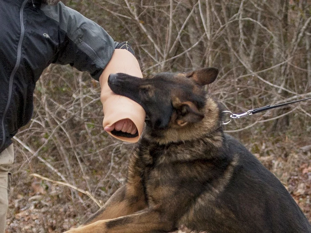 The new bite sleeve is made of a combination of silicone and Kevlar