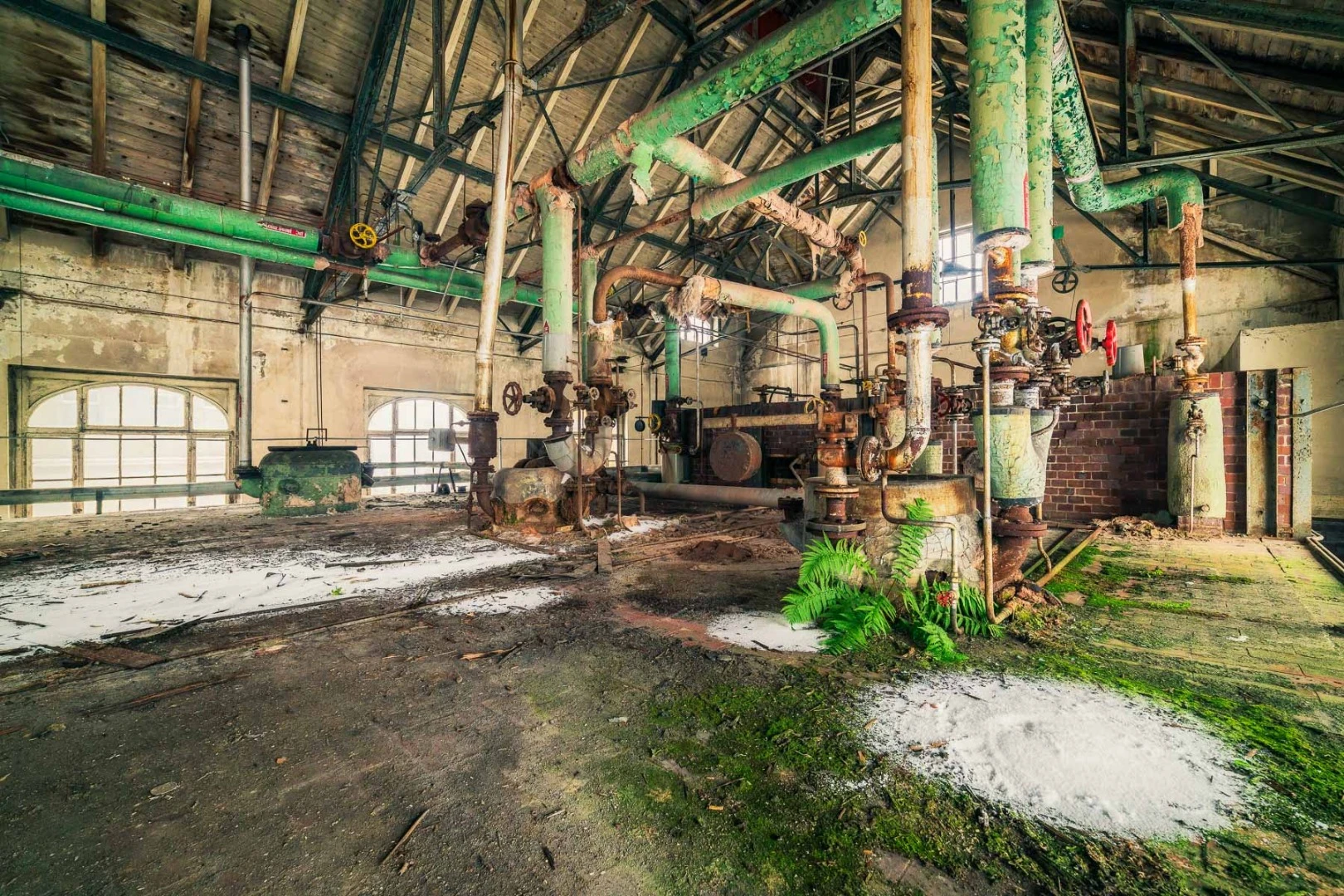 Stunning green moss coverings highlight the green colors taking over this abandoned factory
