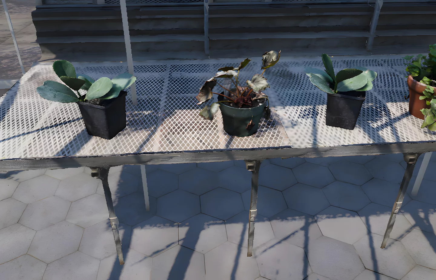 Walking the virtual greenhouse offers the same spatial context as being there in person