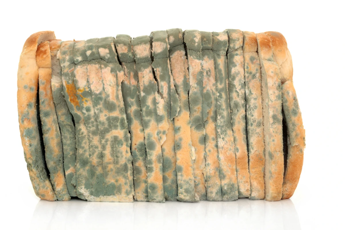 New technology could make moldy bread a much less common sight (Photo: Shutterstock)