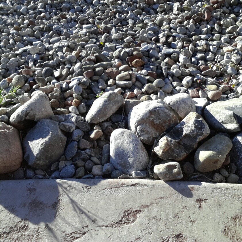 Another outdoor, direct sunlight shot