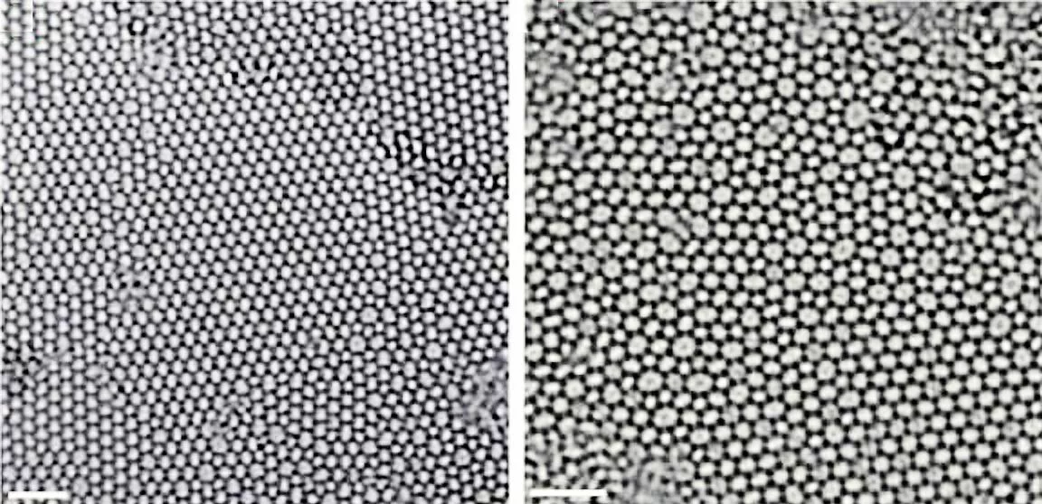 The glassiness of the molecule thick silica glass grown by the Cornell researchers varies between regions of the glass – on the left the "glass" is actually made of crystalline regions which are aligned in different directions (Photo: University of Ulm)