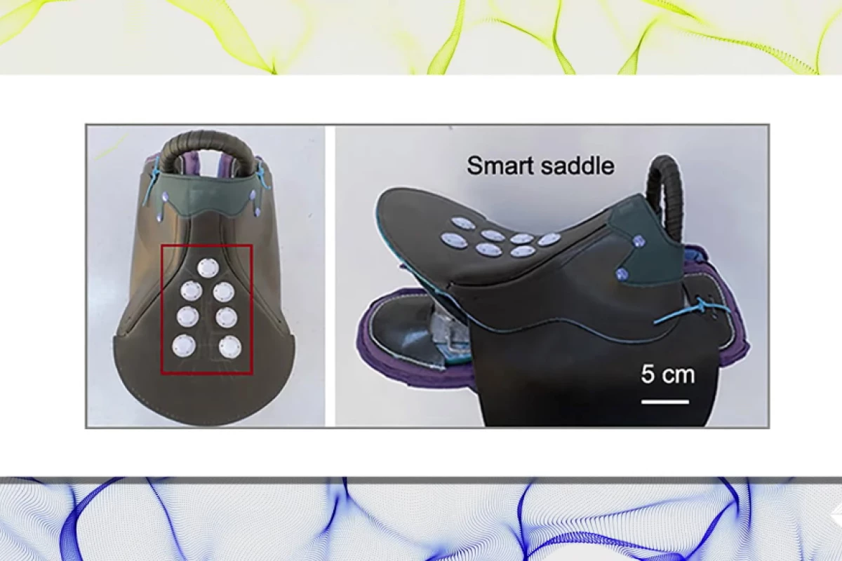 The experimental saddle, with its array of TENG-based pressure sensors