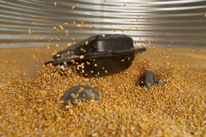 The Grain Weevil robot flails its way through a bin full of corn grain