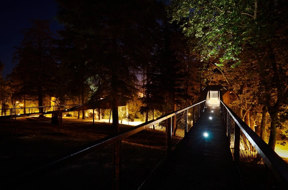 Tree Snake Houses by night
