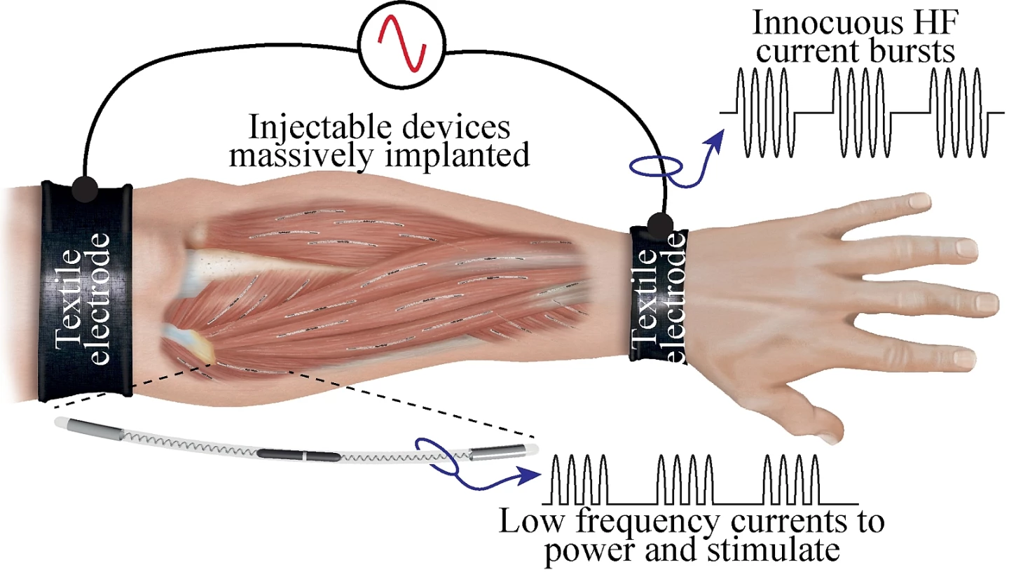 A diagram of the system