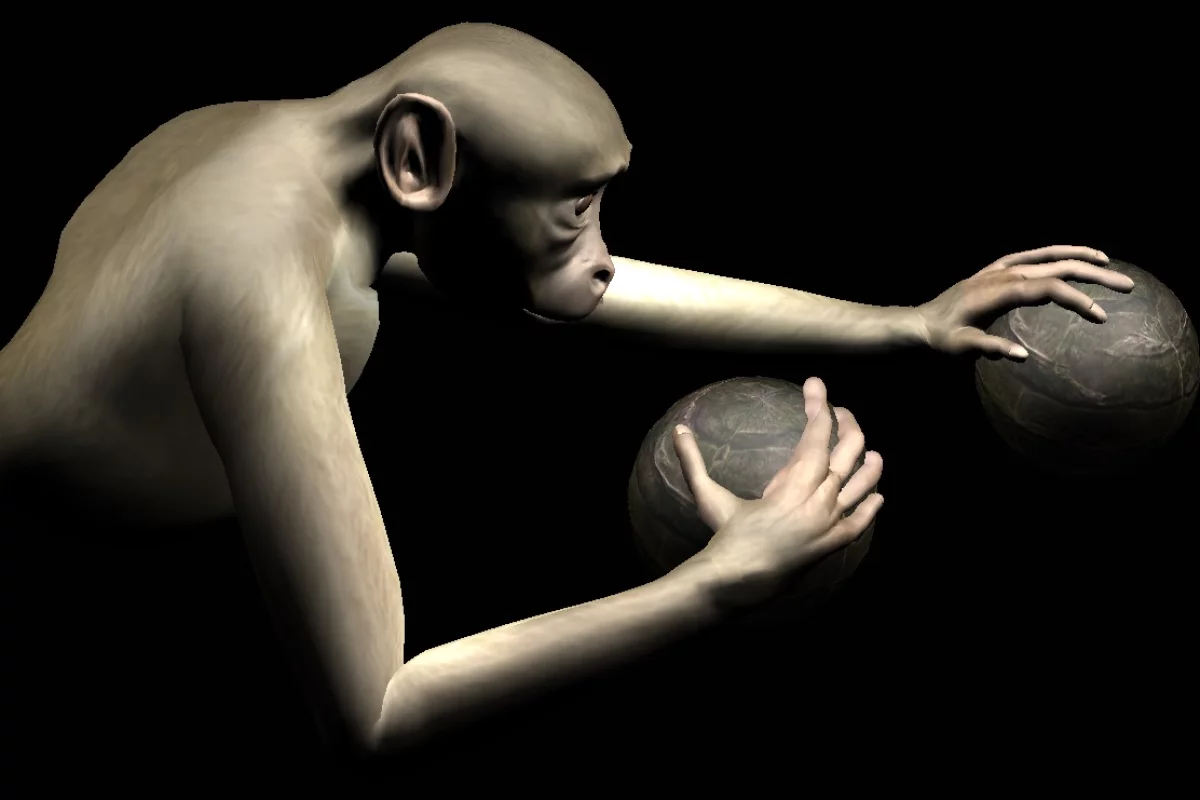 The avatar monkey used in the research – although the test monkeys saw its arms from a first-person viewpoint