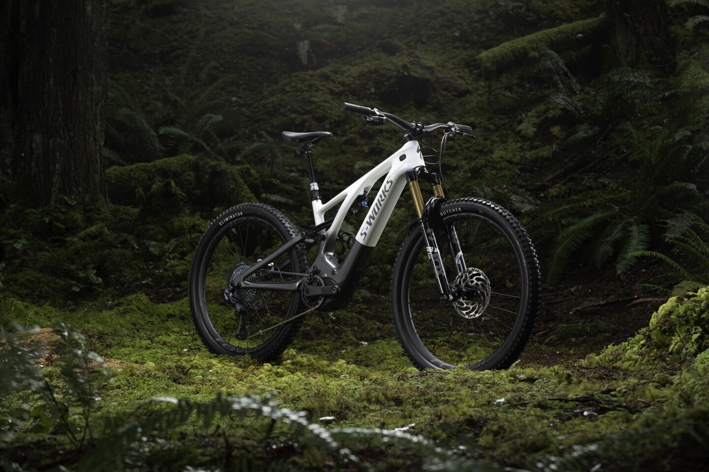 The Turbo Levo is available in Expert, Pro and SW model variants