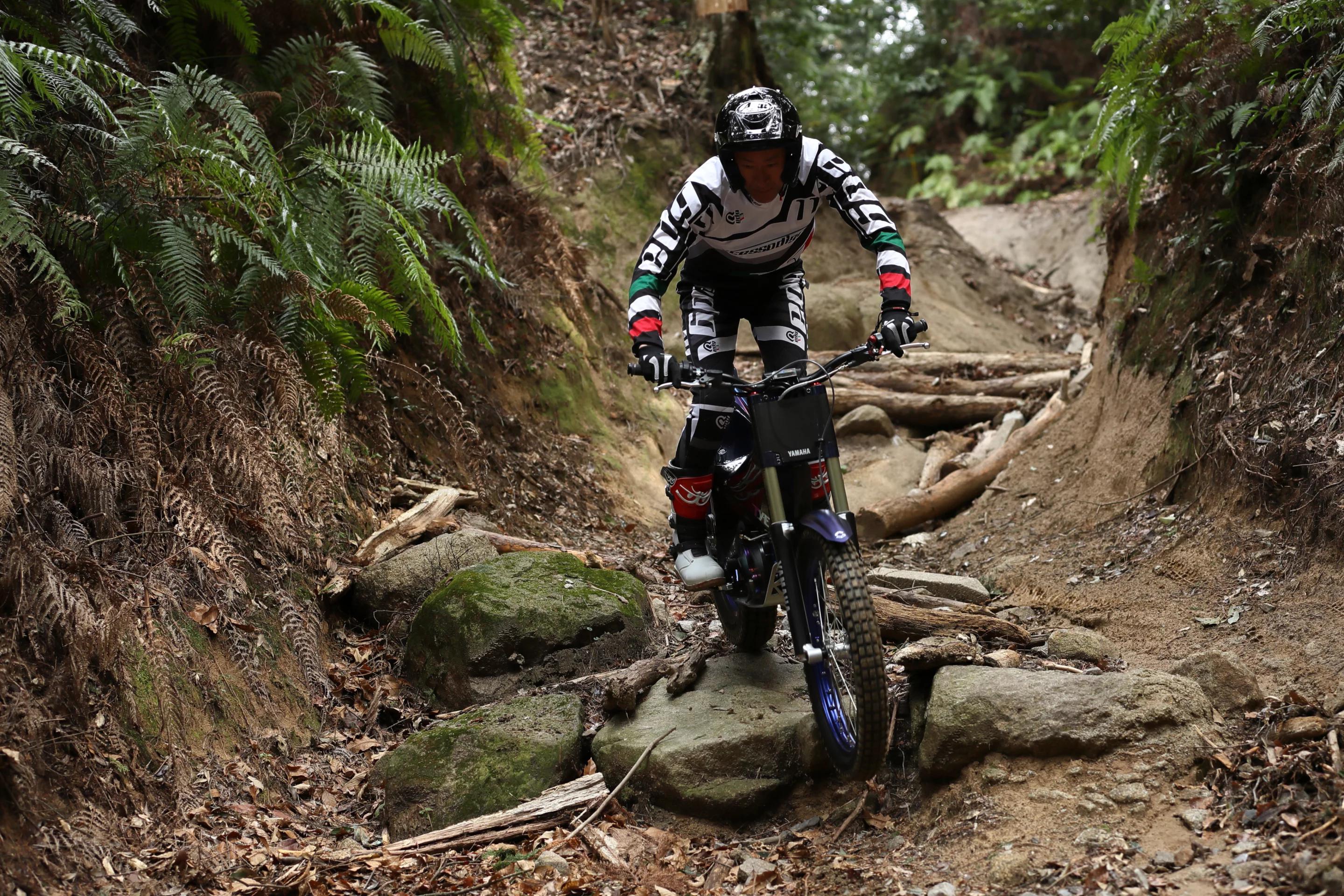 Yamaha TY-E: doesn't need a big battery